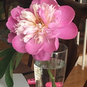 Meet your Posher, Gail w